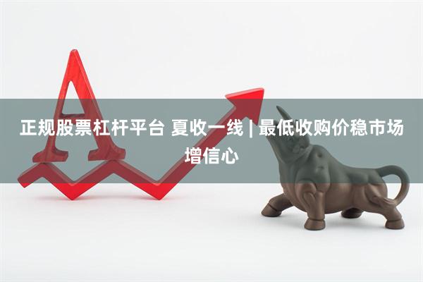 正规股票杠杆平台 夏收一线 | 最低收购价稳市场增信心