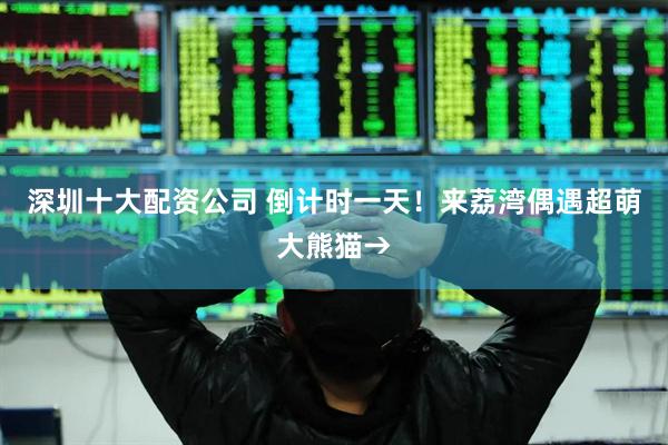 深圳十大配资公司 倒计时一天！来荔湾偶遇超萌大熊猫→