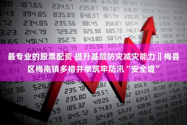 最专业的股票配资 提升基层防灾减灾能力‖梅县区梅南镇多措并举筑牢防汛“安全堤”